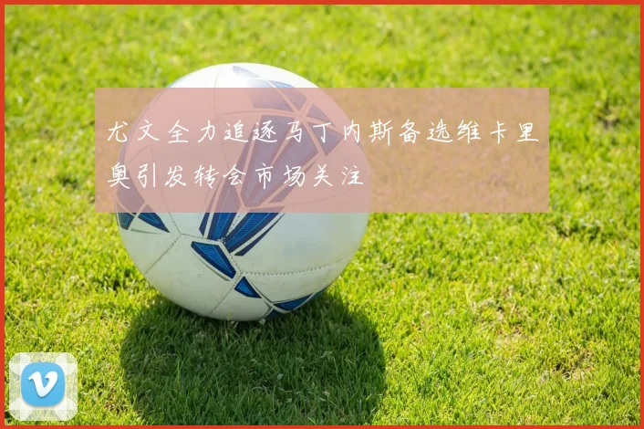 尤文全力追逐马丁内斯备选维卡里奥引发转会市场关注