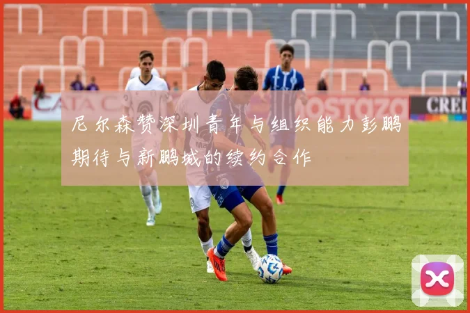 尼尔森赞深圳青年与组织能力彭鹏期待与新鹏城的续约合作
